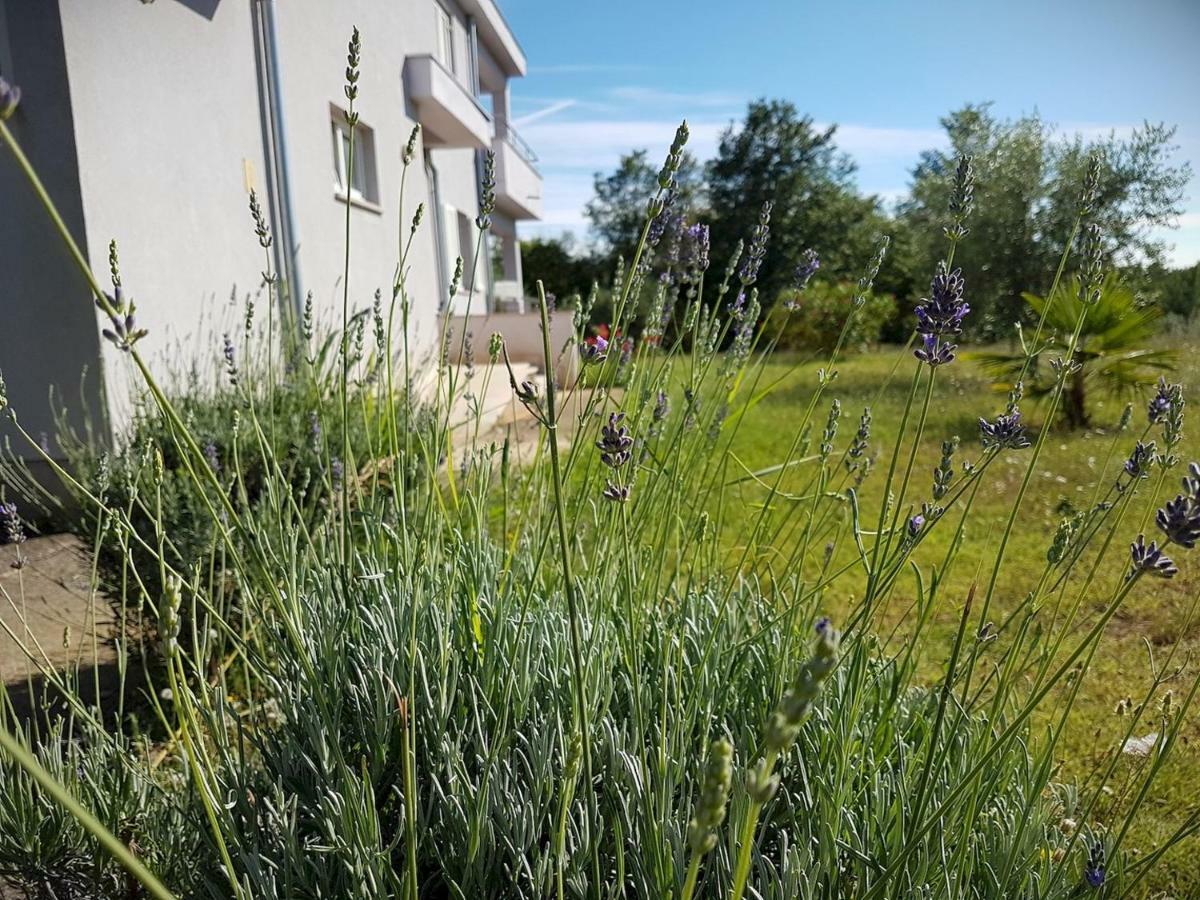 Apartment Vitalia 2+2 Poreč Dış mekan fotoğraf