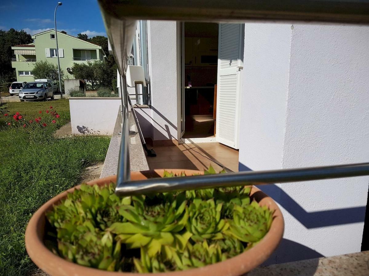 Apartment Vitalia 2+2 Poreč Dış mekan fotoğraf